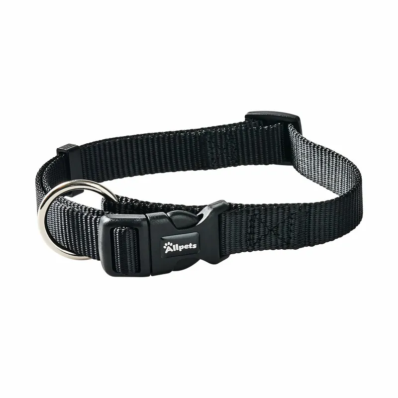 Allpets Classy Halsband XS-S 22-35 cm / 10 mm black Neu Im Sortiment